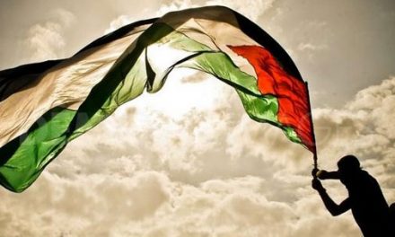 Vegans for BDS launches Toronto organizing